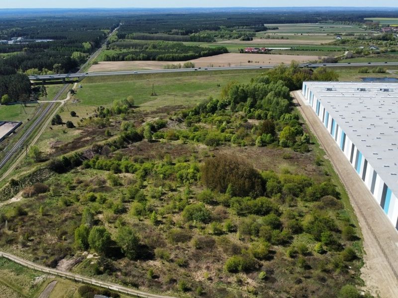 Zdjęcie ogłoszenia -  