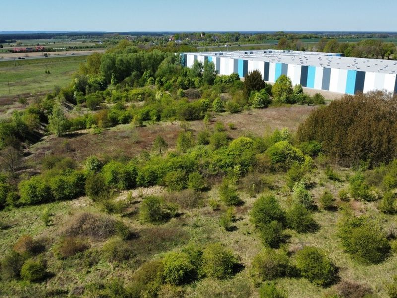 Zdjęcie ogłoszenia -  