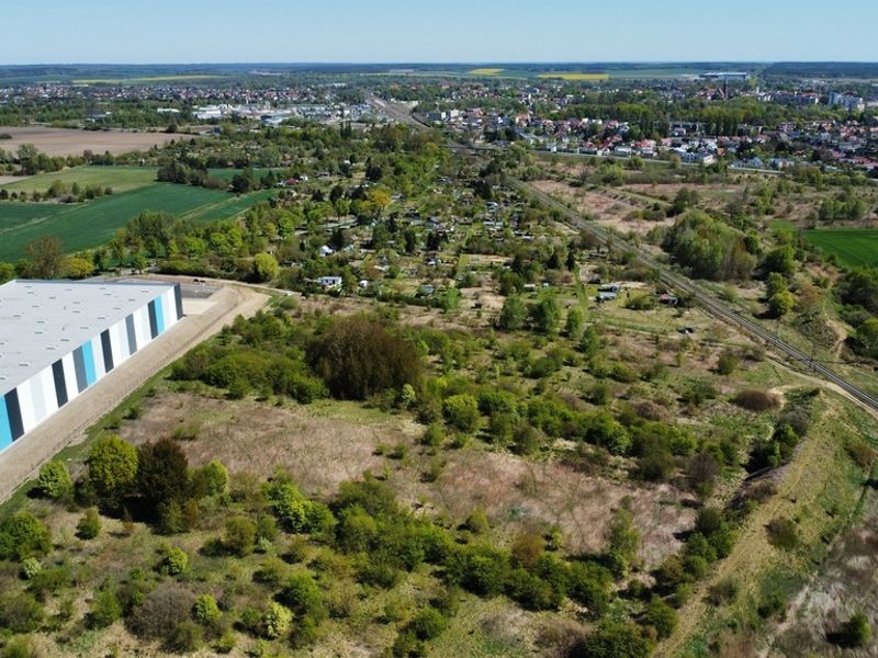 Zdjęcie ogłoszenia -  