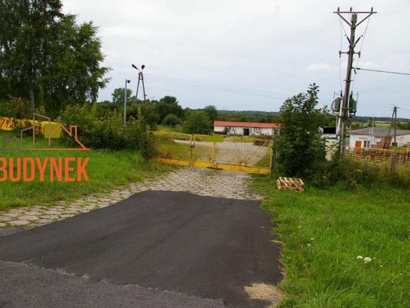 Zdjęcie ogłoszenia -  