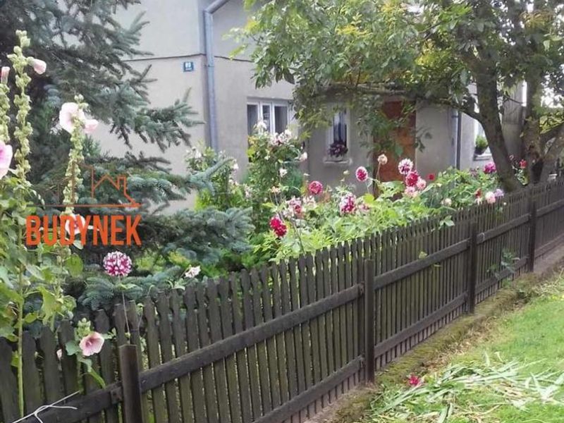 Zdjęcie ogłoszenia -  