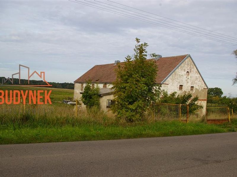 Zdjęcie ogłoszenia -  