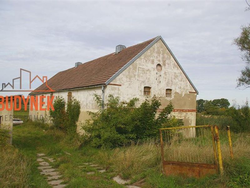 Zdjęcie ogłoszenia -  