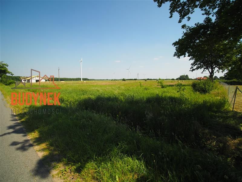 Zdjęcie ogłoszenia -  
