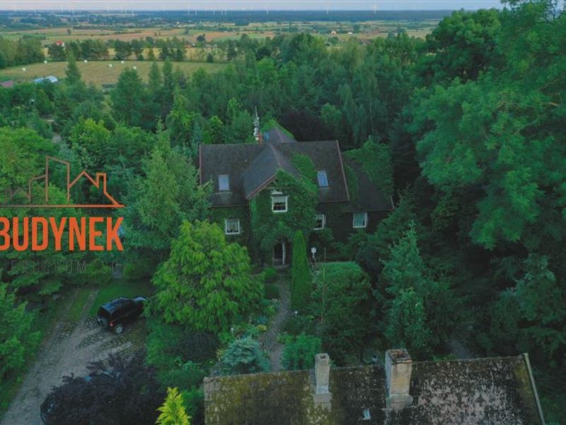 Zdjęcie ogłoszenia -  