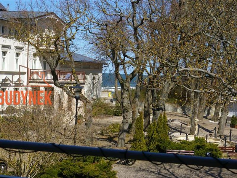 Zdjęcie ogłoszenia -  