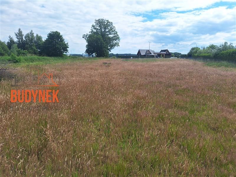 Zdjęcie ogłoszenia -  