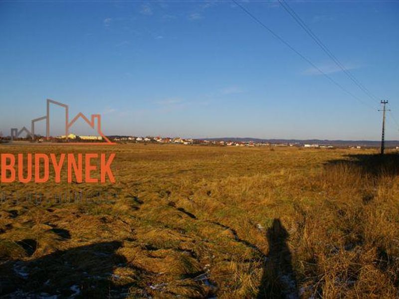 Zdjęcie ogłoszenia -  