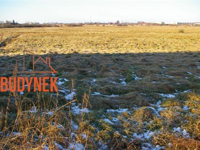 Zdjęcie ogłoszenia -  