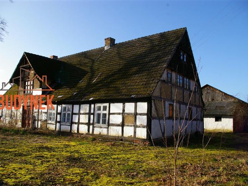 Zdjęcie ogłoszenia -  