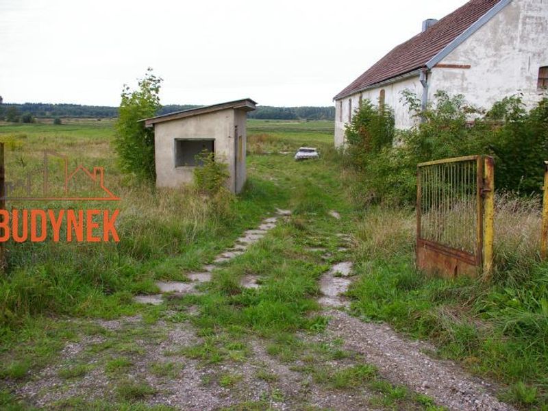 Zdjęcie ogłoszenia -  