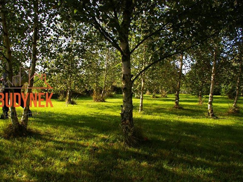 Zdjęcie ogłoszenia -  