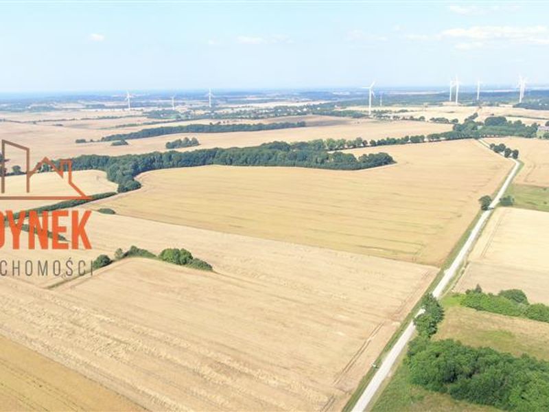 Zdjęcie ogłoszenia -  