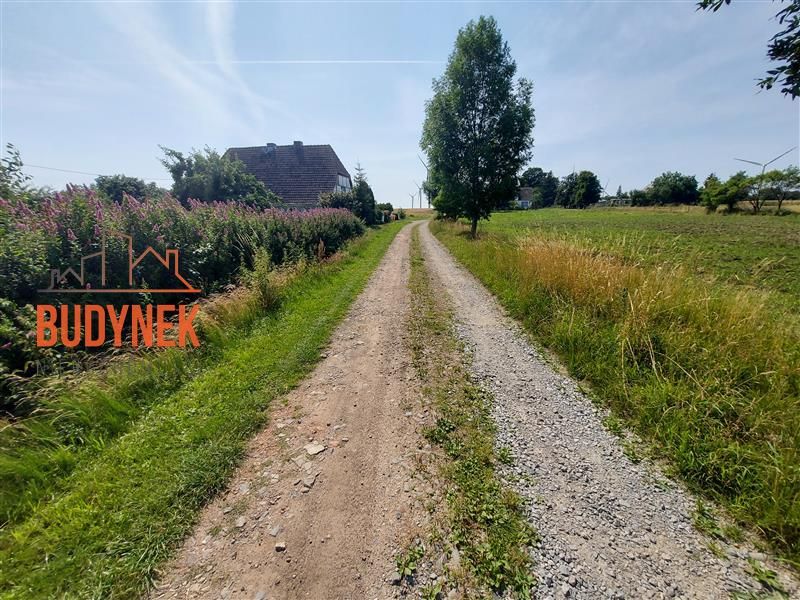 Zdjęcie ogłoszenia -  