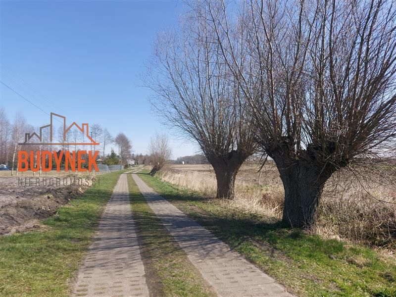 Zdjęcie ogłoszenia -  