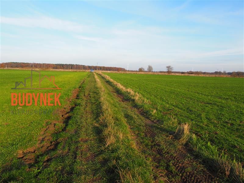 Zdjęcie ogłoszenia -  