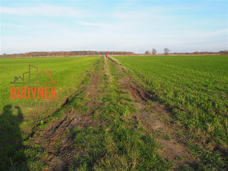 Zdjęcie ogłoszenia -  