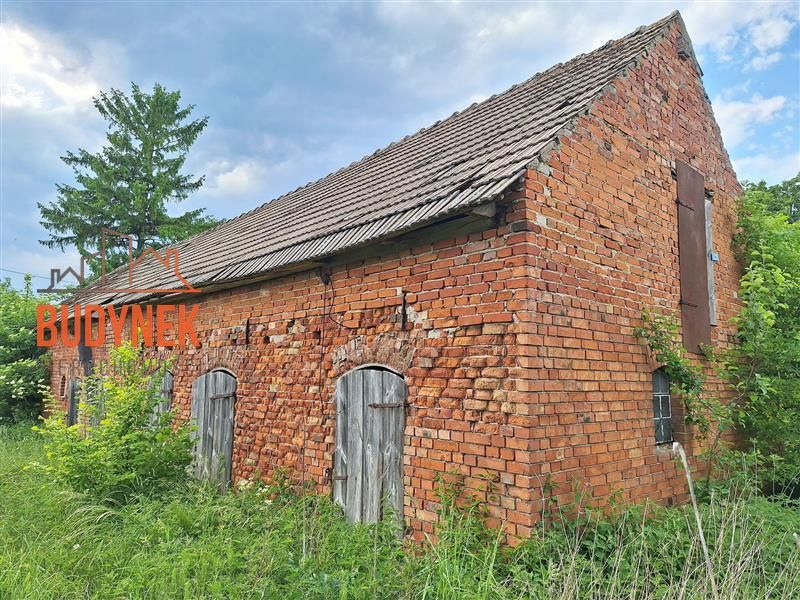 Zdjęcie ogłoszenia -  