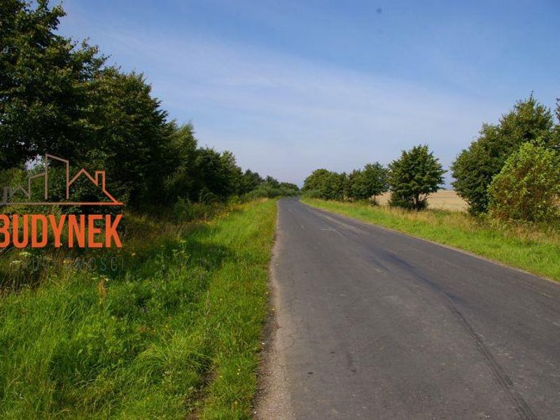 Zdjęcie ogłoszenia -  