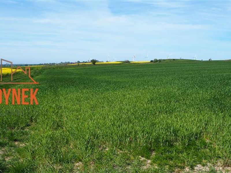 Zdjęcie ogłoszenia -  
