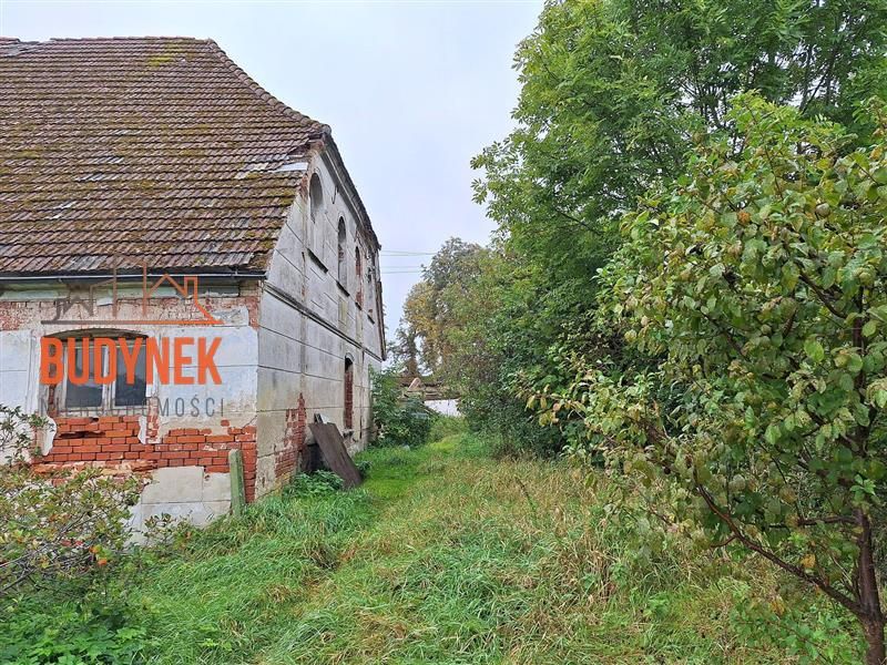 Zdjęcie ogłoszenia -  