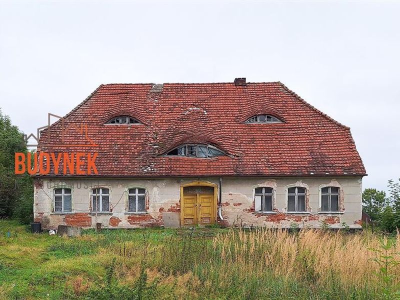 Zdjęcie ogłoszenia -  