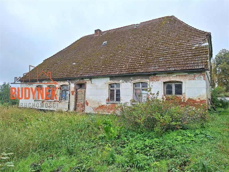Zdjęcie ogłoszenia -  
