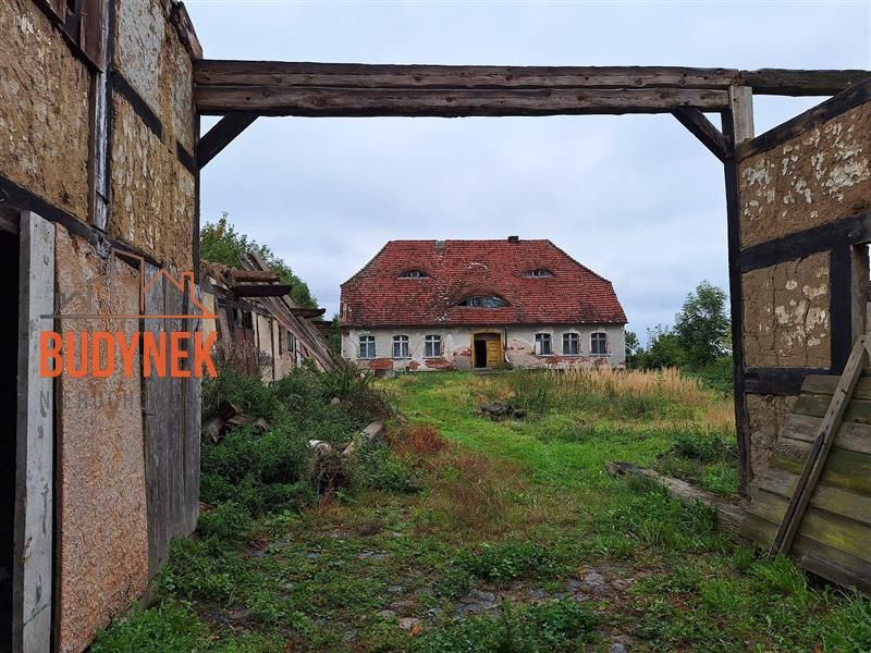 Zdjęcie ogłoszenia -  