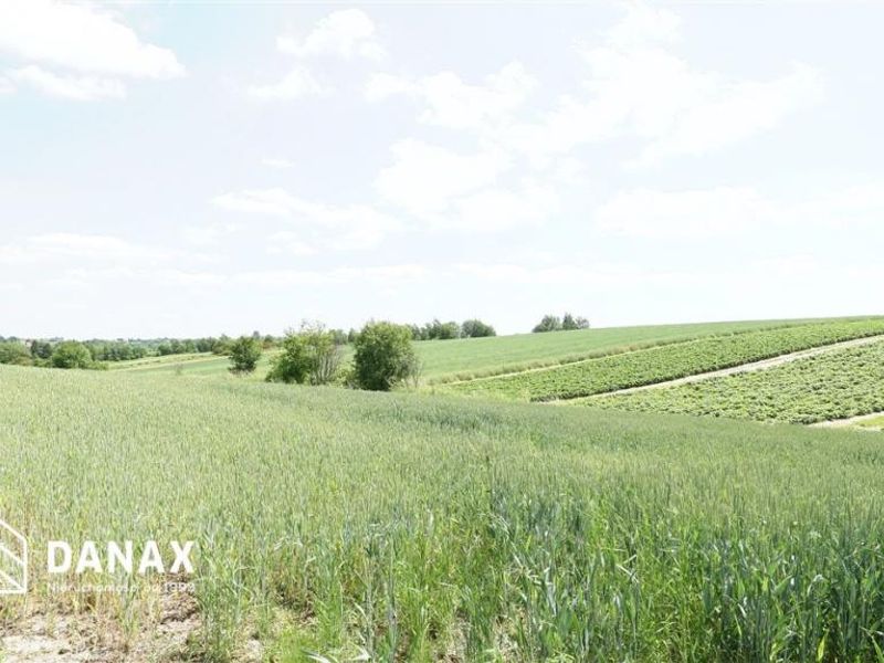 Działka budowlana 4300 m², Cianowice - ID: 15915789