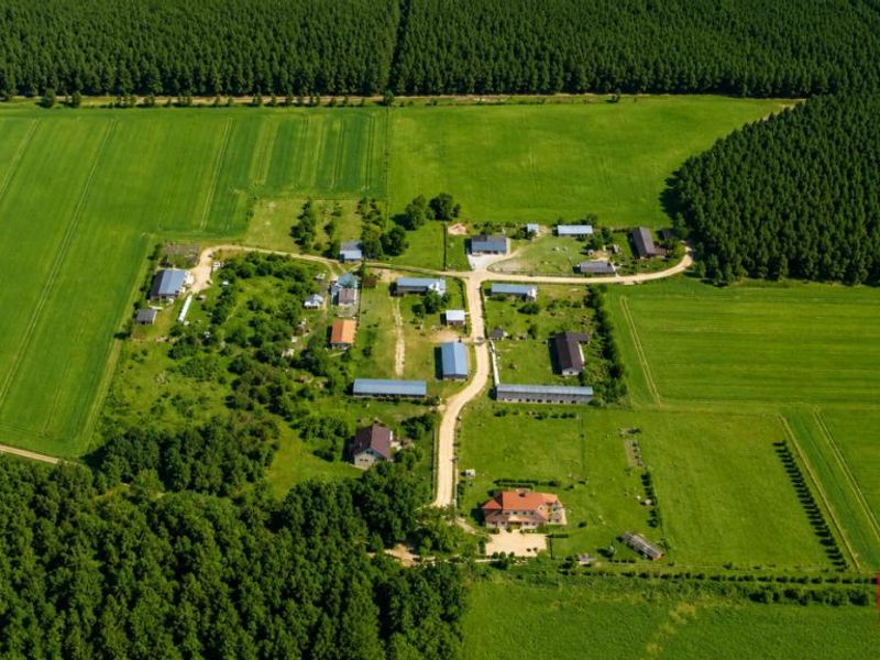 Zdjęcie ogłoszenia -  