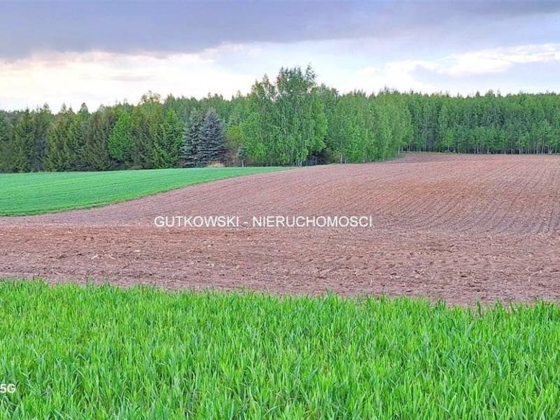 Zdjęcie ogłoszenia -  