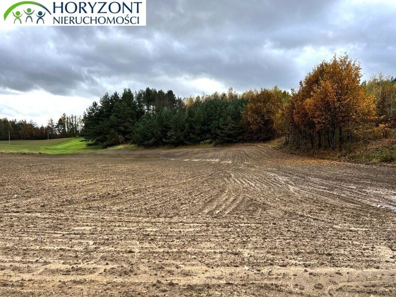 Działka budowlana 1,42&nbsp;ha, Mściszewice - ID: 15923755