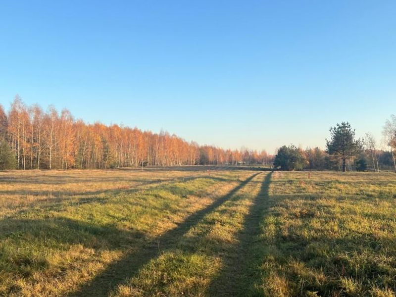 Zdjęcie ogłoszenia -  