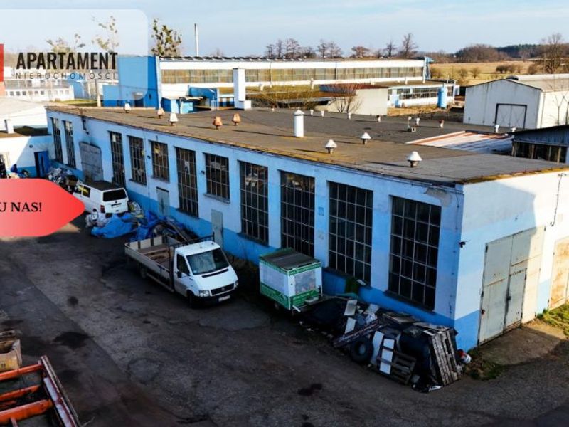 Zdjęcie ogłoszenia -  