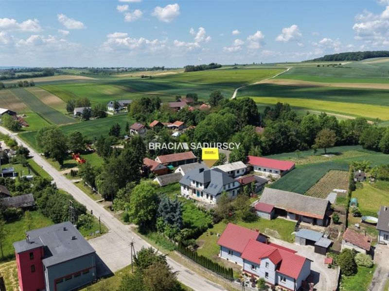 Zdjęcie ogłoszenia -  