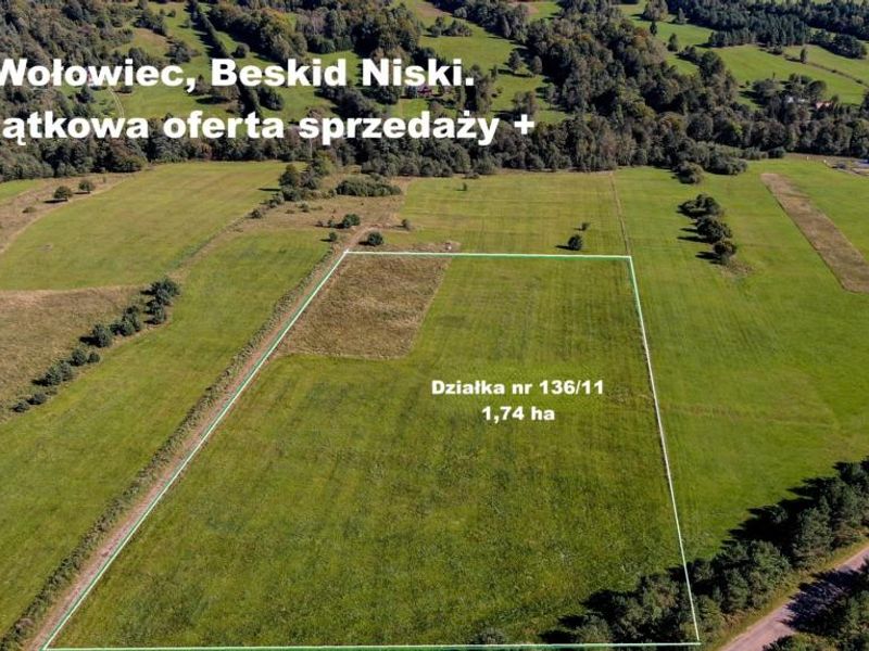 Zdjęcie ogłoszenia -  