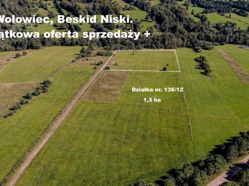 Zdjęcie ogłoszenia -  