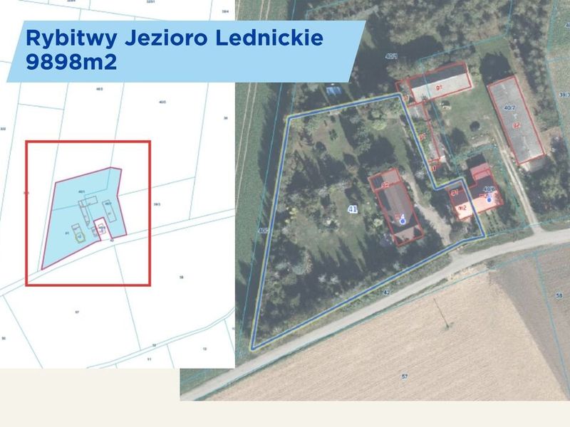 Zdjęcie ogłoszenia -  