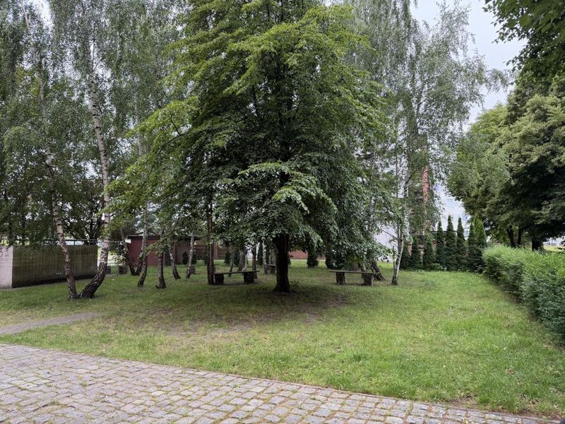 Zdjęcie ogłoszenia -  