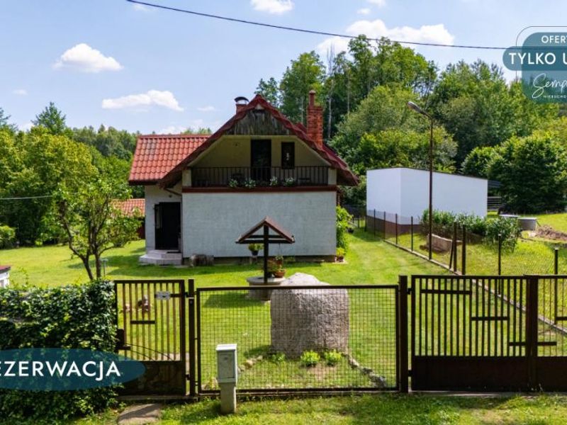 Zdjęcie ogłoszenia -  