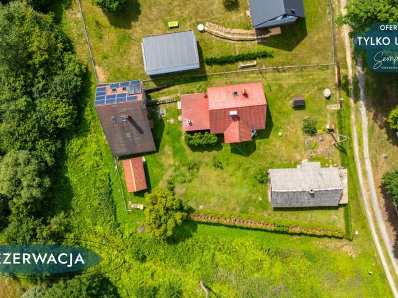Zdjęcie ogłoszenia -  