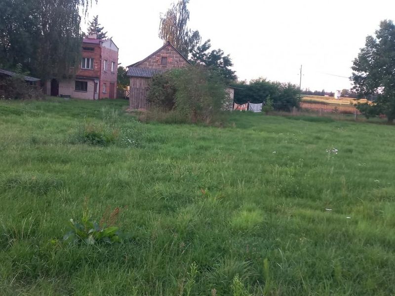 Zdjęcie ogłoszenia -  