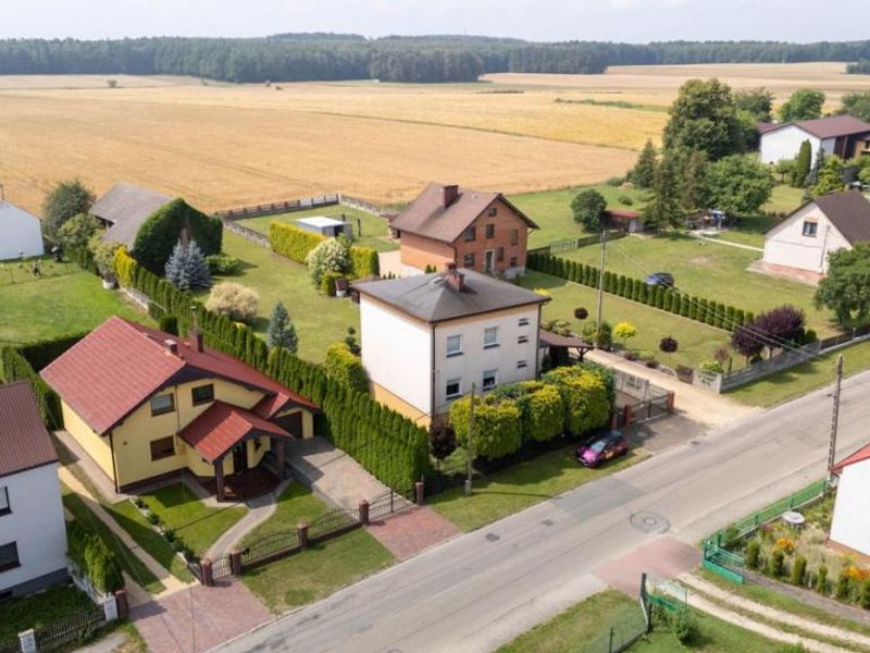 Zdjęcie ogłoszenia -  
