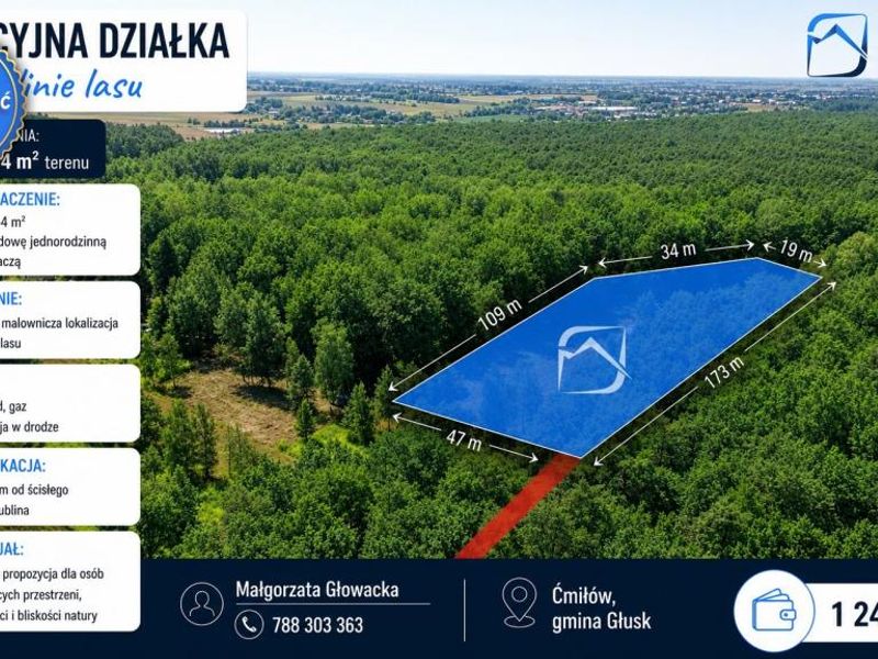 Zdjęcie ogłoszenia -  