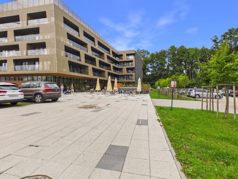 Zdjęcie ogłoszenia -  