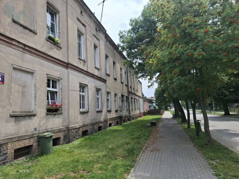 Zdjęcie ogłoszenia -  