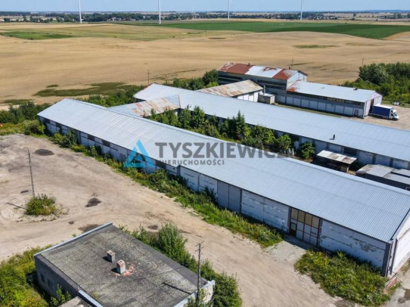 Zdjęcie ogłoszenia -  