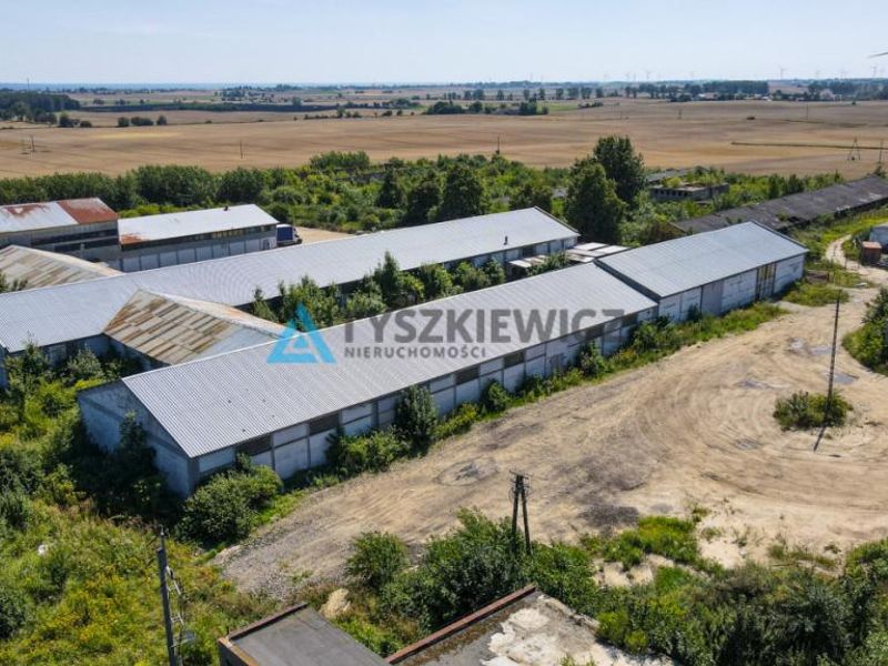 Zdjęcie ogłoszenia -  