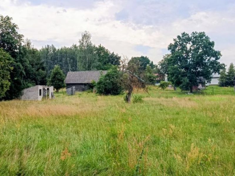 Zdjęcie ogłoszenia -  