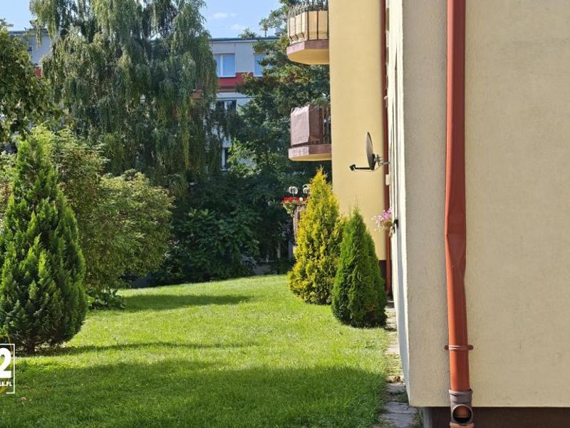 Zdjęcie ogłoszenia -  